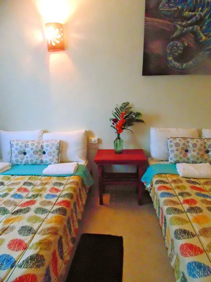 تولوم Art Hotel 0*,